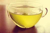 Can Green Tea Burn Fat
